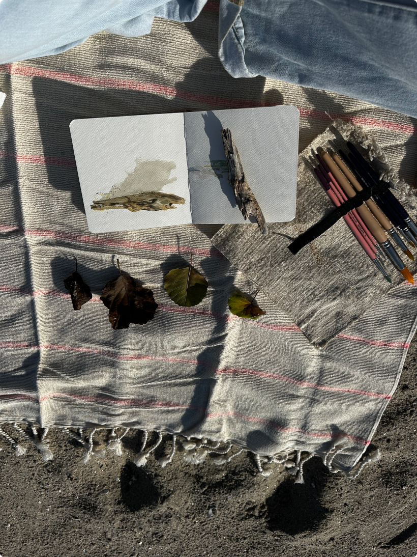 Leaf study in watercolor on a striped blanket